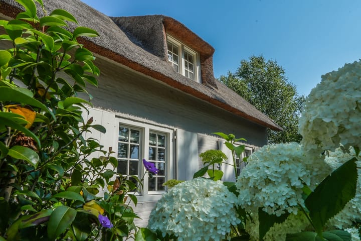 Foto 3 van Oude Tilburgsebaan 9