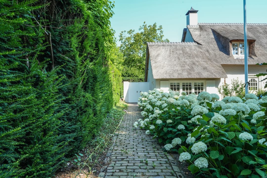 Foto 41 van Oude Tilburgsebaan 9