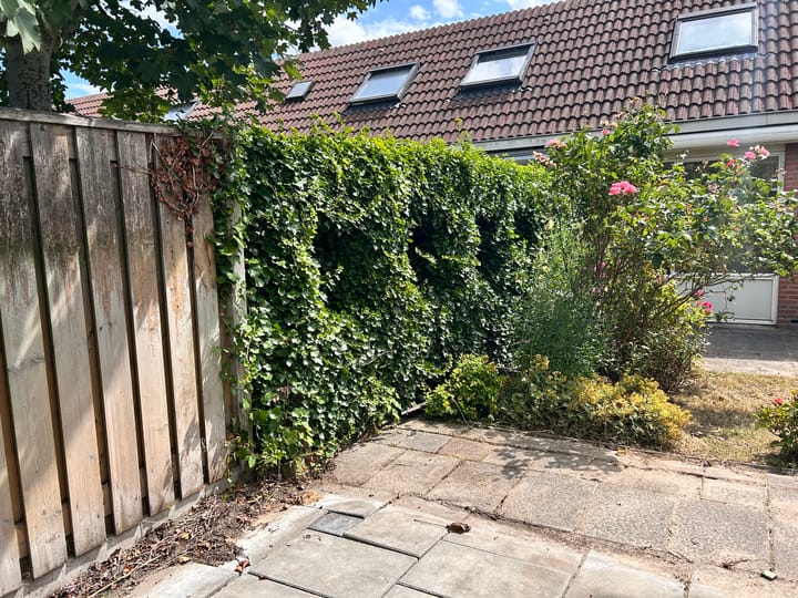 Foto 27 van Komijn 31