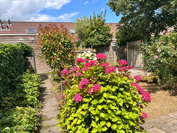 Foto 29 van Komijn 31