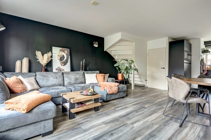 Photo 6 of Troubadour 6