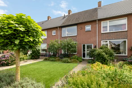 undefined main image