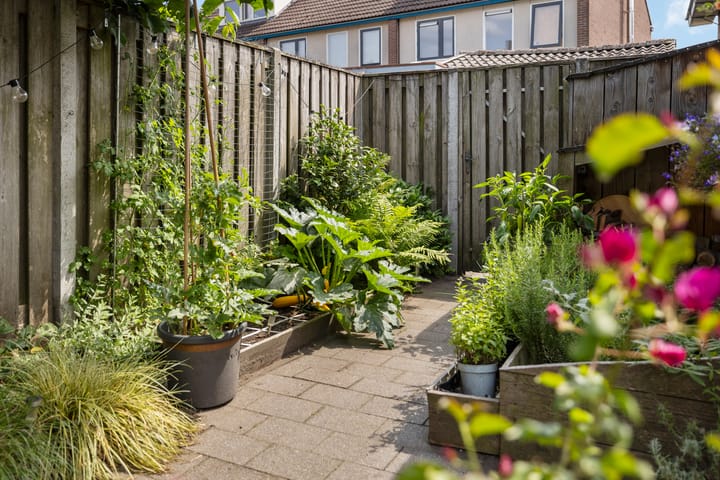 Foto 31 van Waterinkweg 32