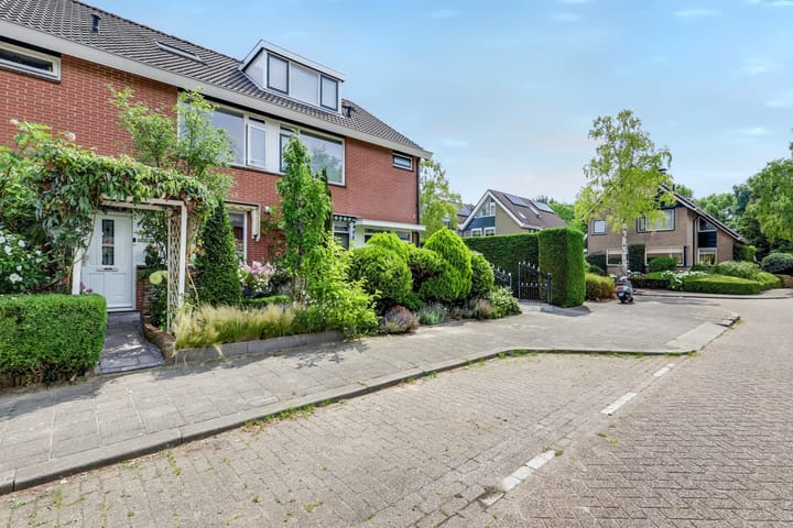 Foto 1 van Pelikaan 46