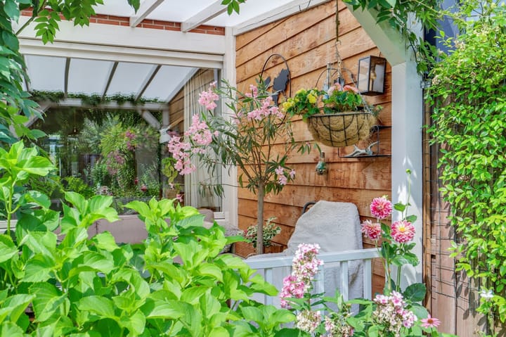 Foto 11 van Pelikaan 46