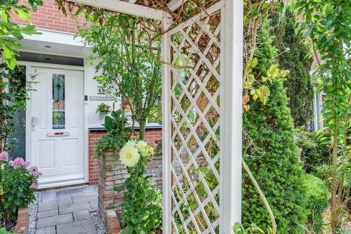 Foto 14 van Pelikaan 46