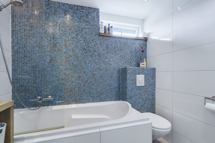 Foto 21 van Pelikaan 46