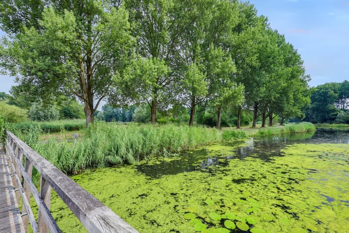 Foto 32 van Pelikaan 46