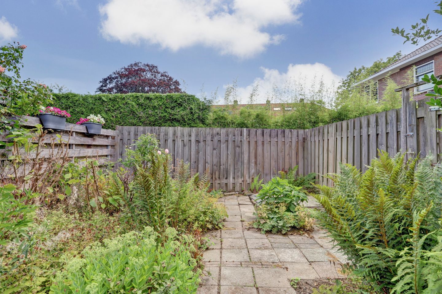 Foto 34 van Zederikstraat 1