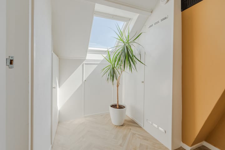 Foto 37 van Wilhelminastraat 3