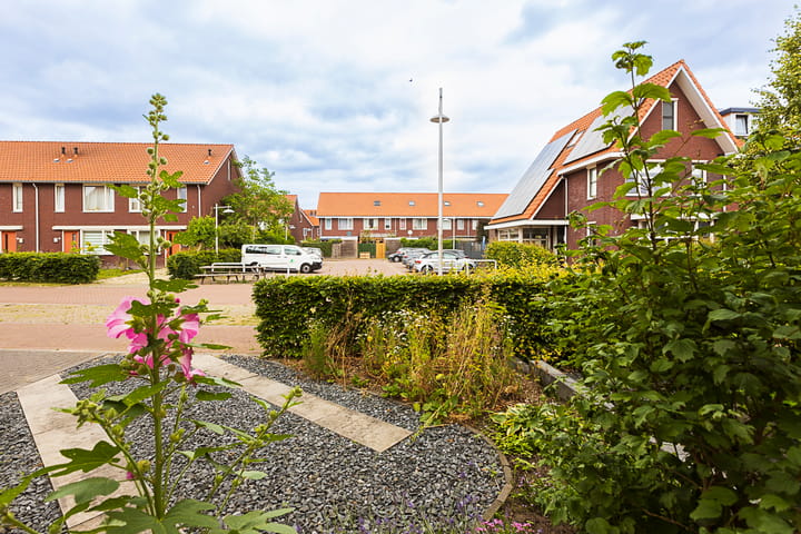 Foto 38 van Dalerveen 23