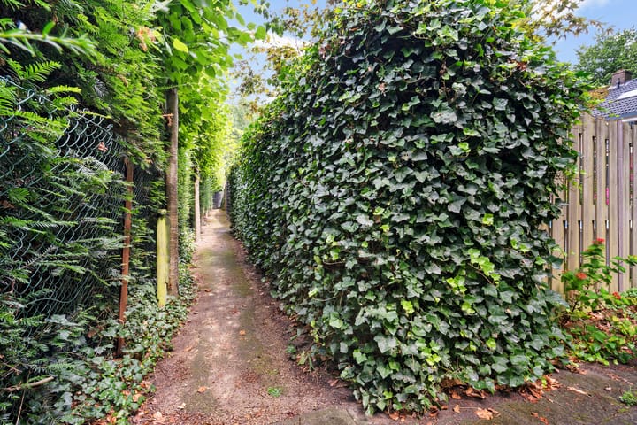 Foto 41 van Nijenheim 1016