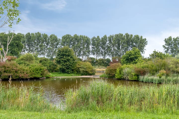 Foto 32 van Wilsonstraat 19