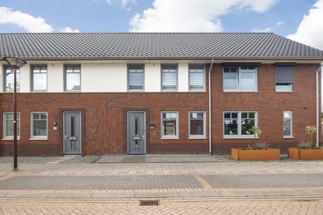 undefined main image