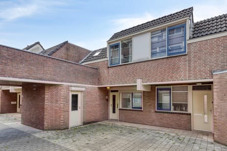 undefined main image