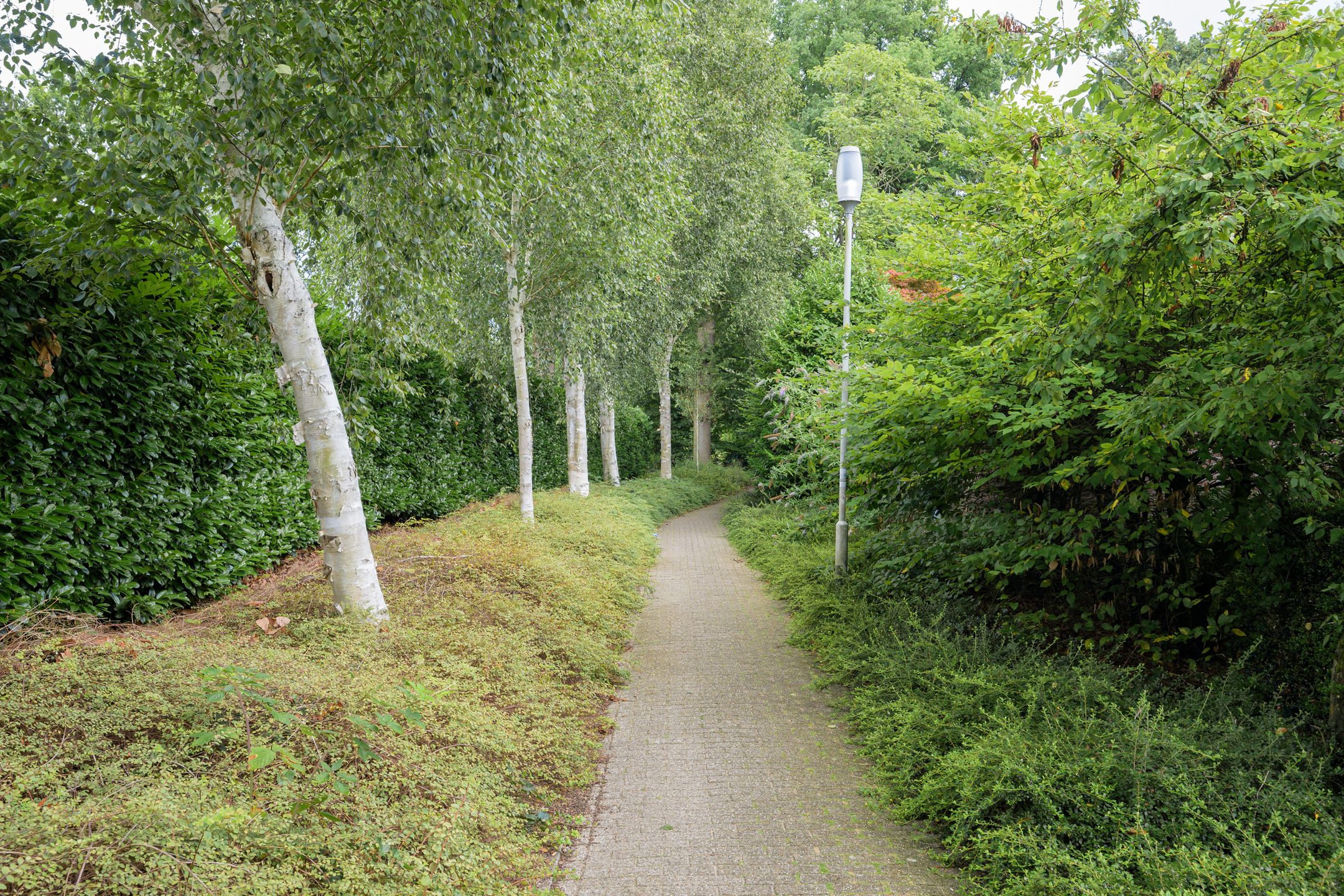 Photo 54 of Kleine Hil 12