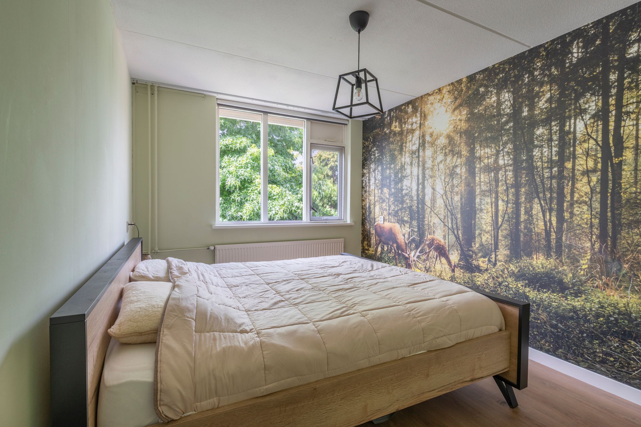 Foto 24 van Wildforster 84