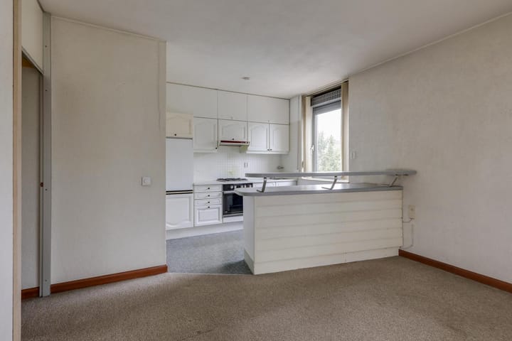 Foto 21 van Boulevard Heuvelink 1-1