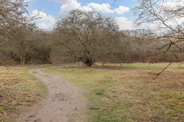 Foto 27 van Van Alkemadelaan 1016