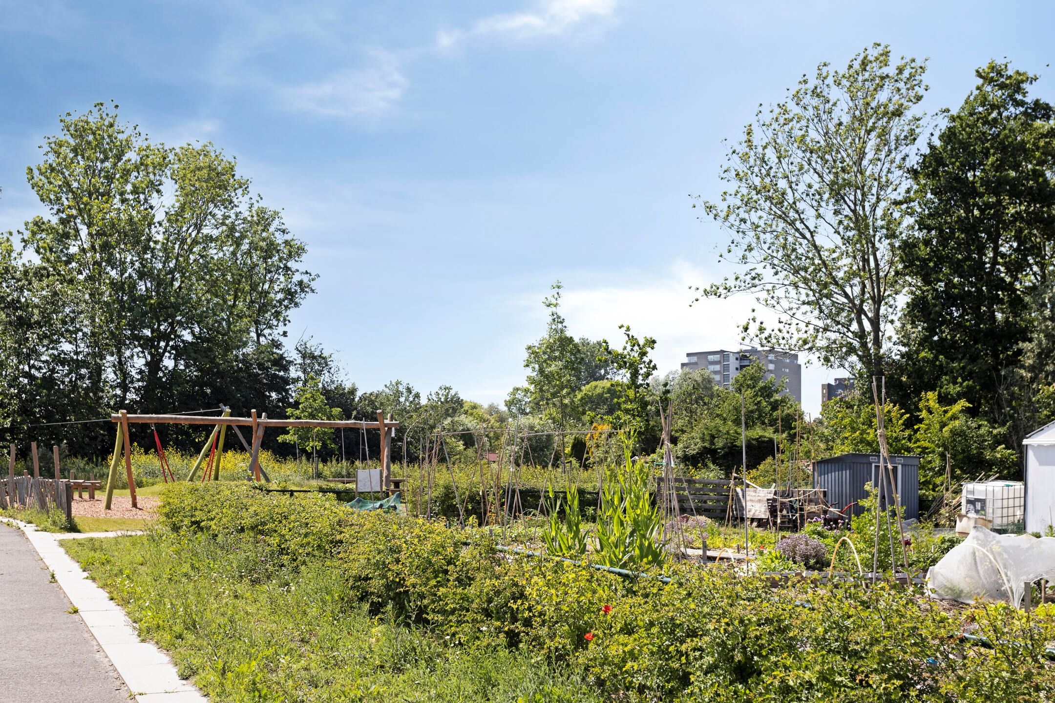 Foto 27 van M. Vasalishof 10