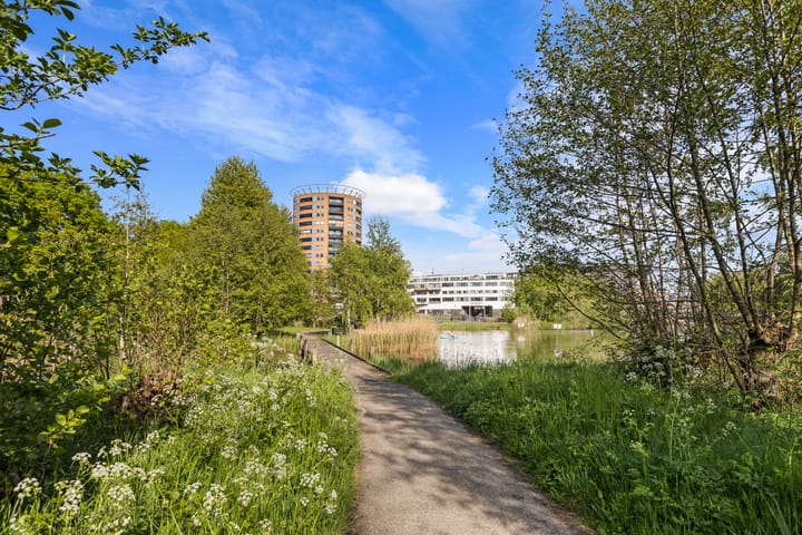 Foto 5 van Regenboog 25