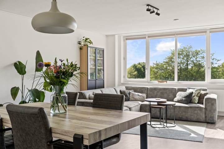 Foto 16 van Regenboog 25