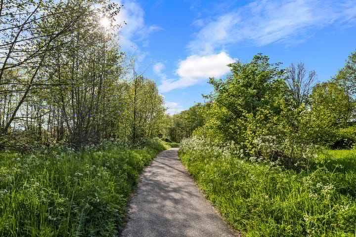 Foto 39 van Regenboog 25