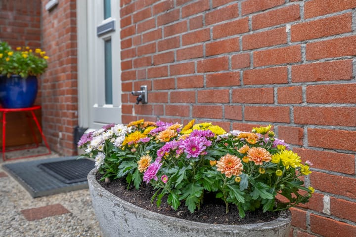 Foto 6 van Pallieterburg 155