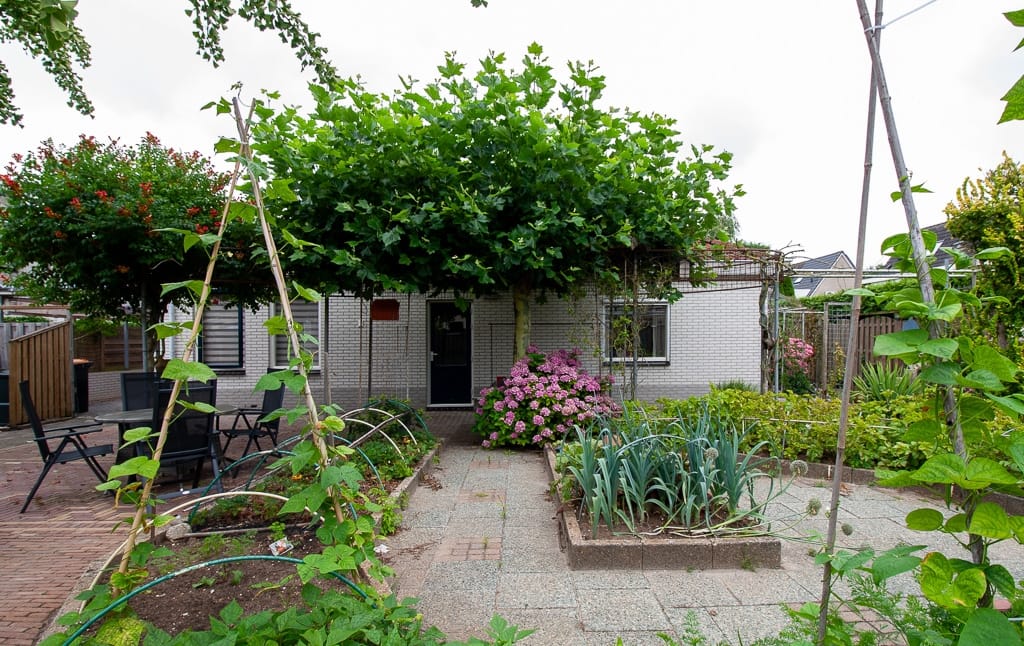 Foto 37 van De Weitas 2