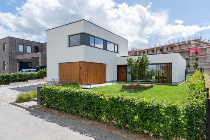 Foto 2 van Korenbloem 4