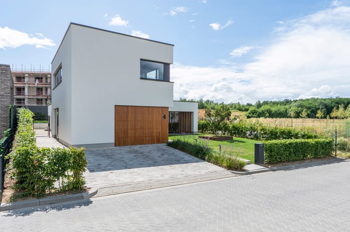 Foto 3 van Korenbloem 4