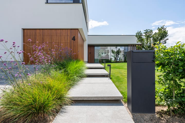 Foto 4 van Korenbloem 4