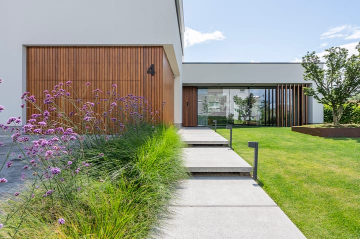 Foto 5 van Korenbloem 4