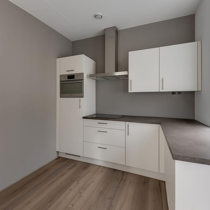 Photo 4 of Phoenix 14