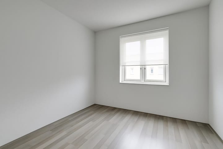 Photo 7 of Phoenix 14