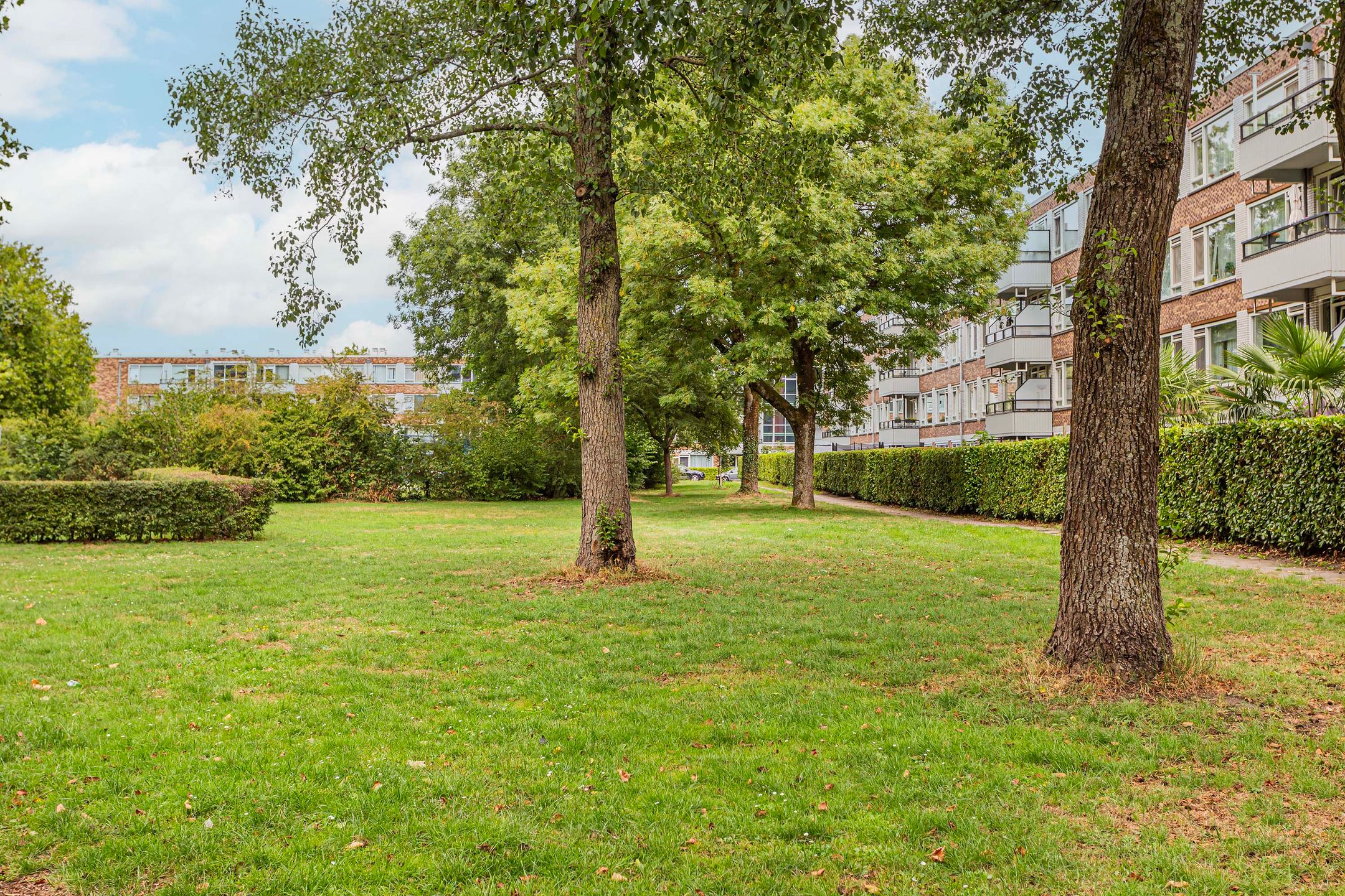 Foto 27 van Agavedreef 111