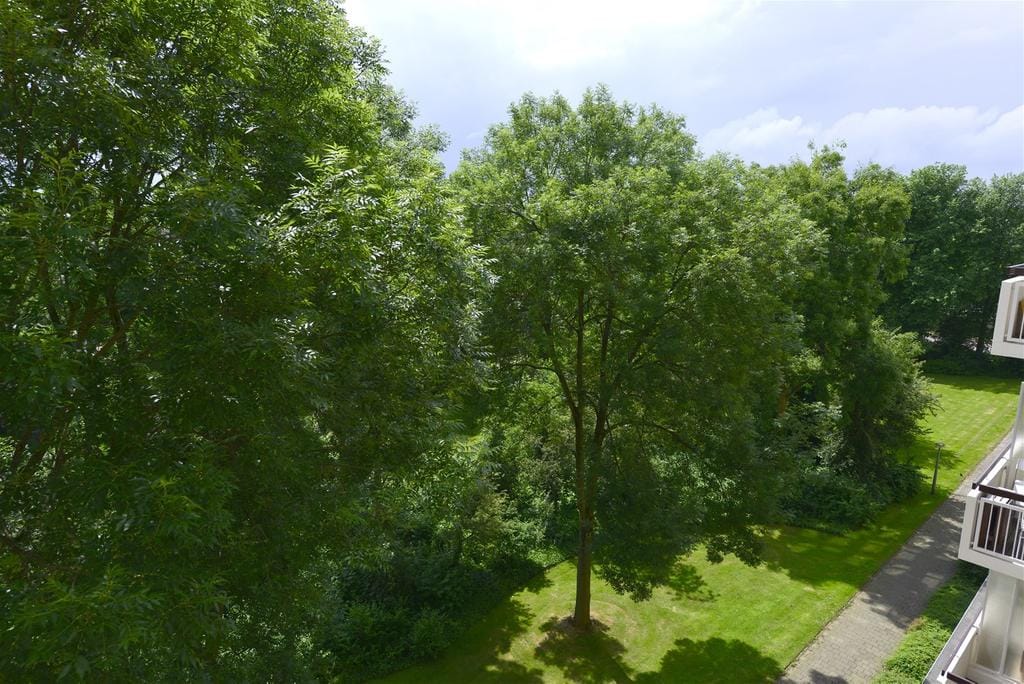 Photo 9 of Van Nijenrodeweg 743