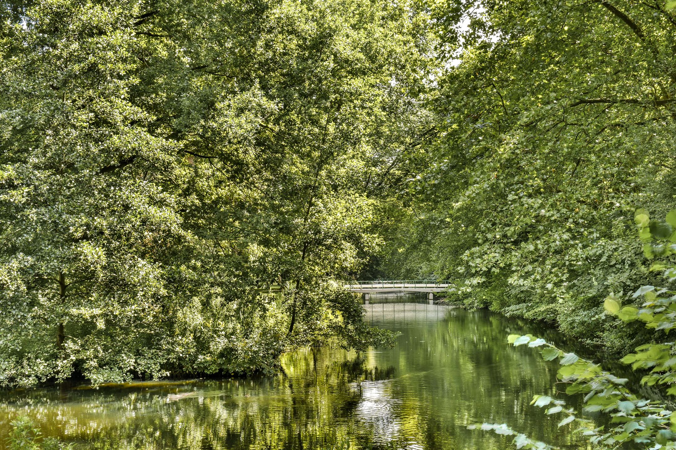 Photo 21 of Van Nijenrodeweg 743