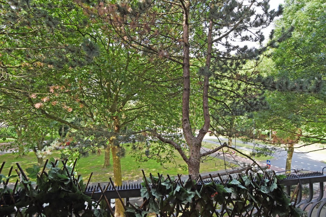 Foto 17 van Barnsteenhorst 10