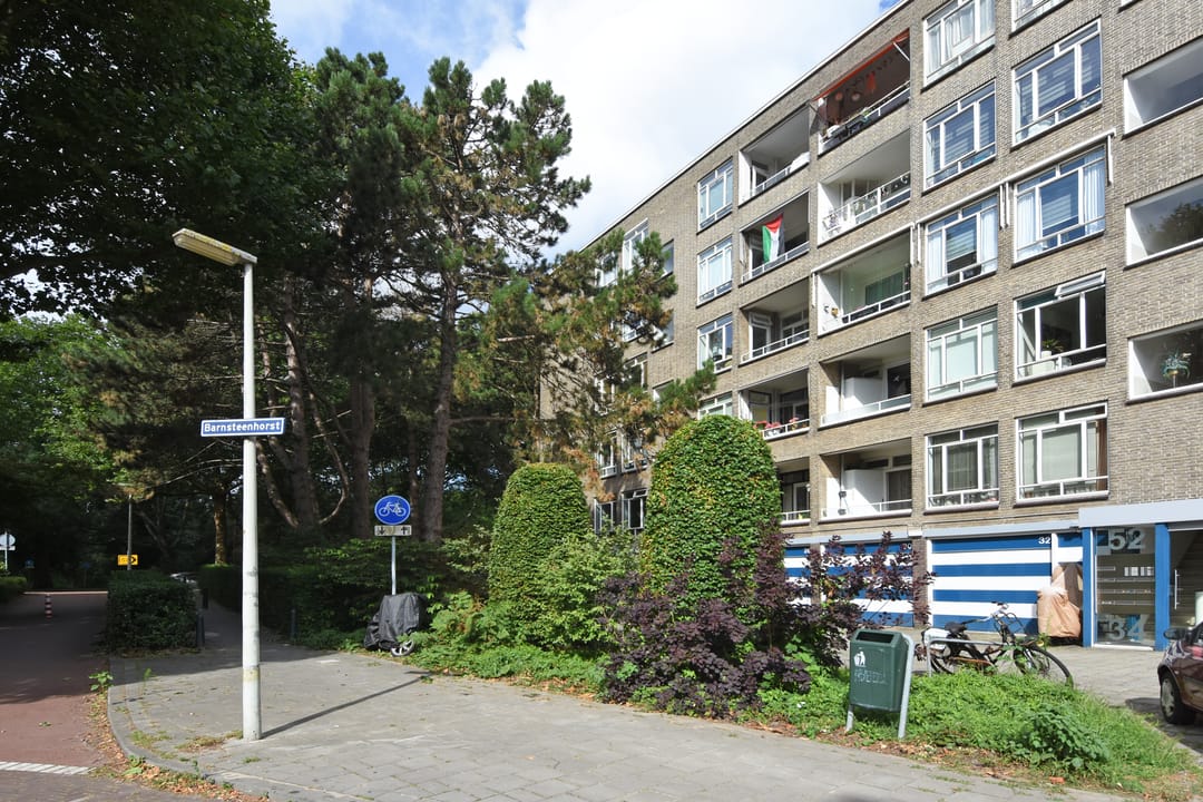 Foto 31 van Barnsteenhorst 10