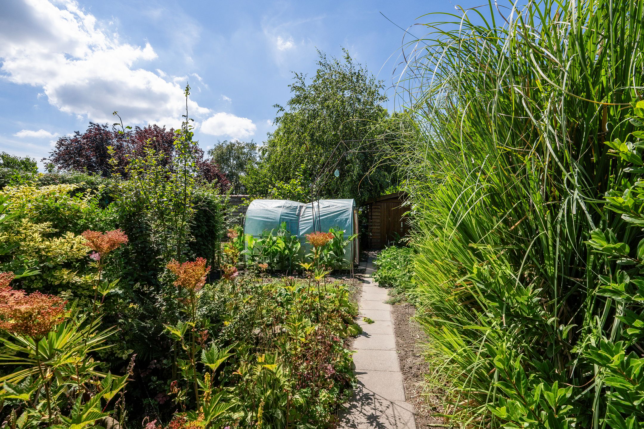 Foto 39 van Dorpsweg 43