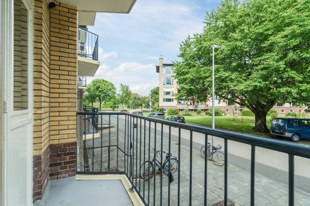 Foto 11 van Tolsteegplantsoen 35