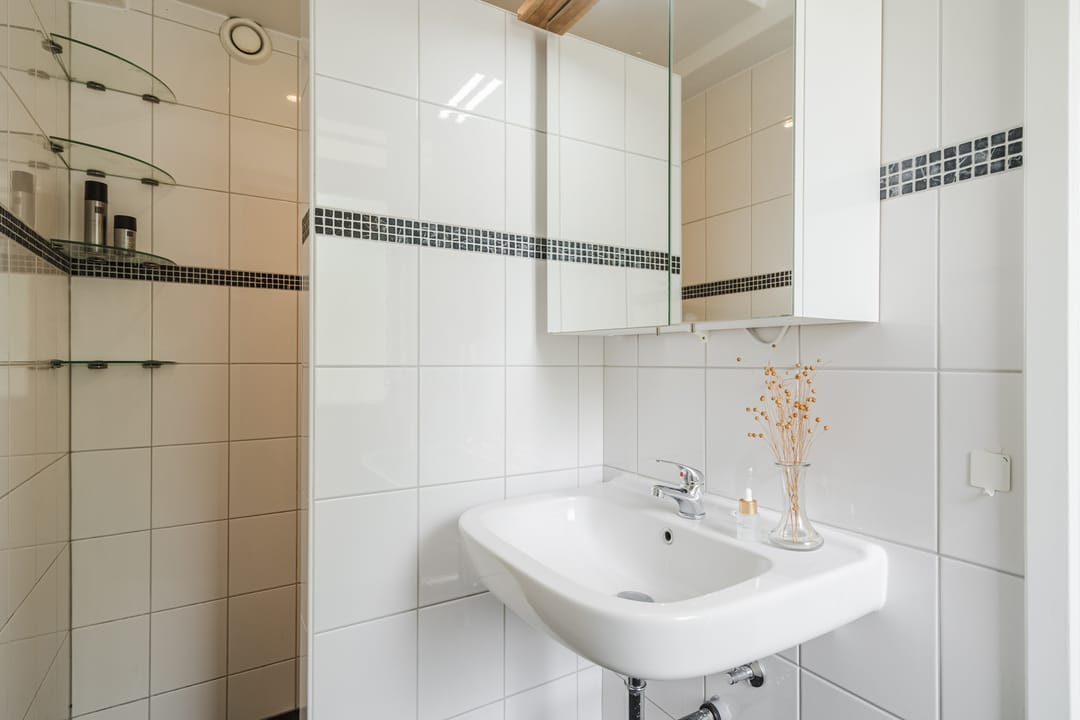 Foto 13 van Tolsteegplantsoen 35