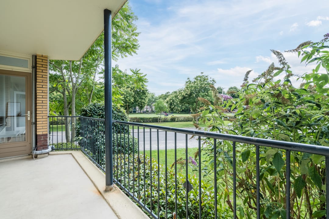 Foto 22 van Tolsteegplantsoen 35