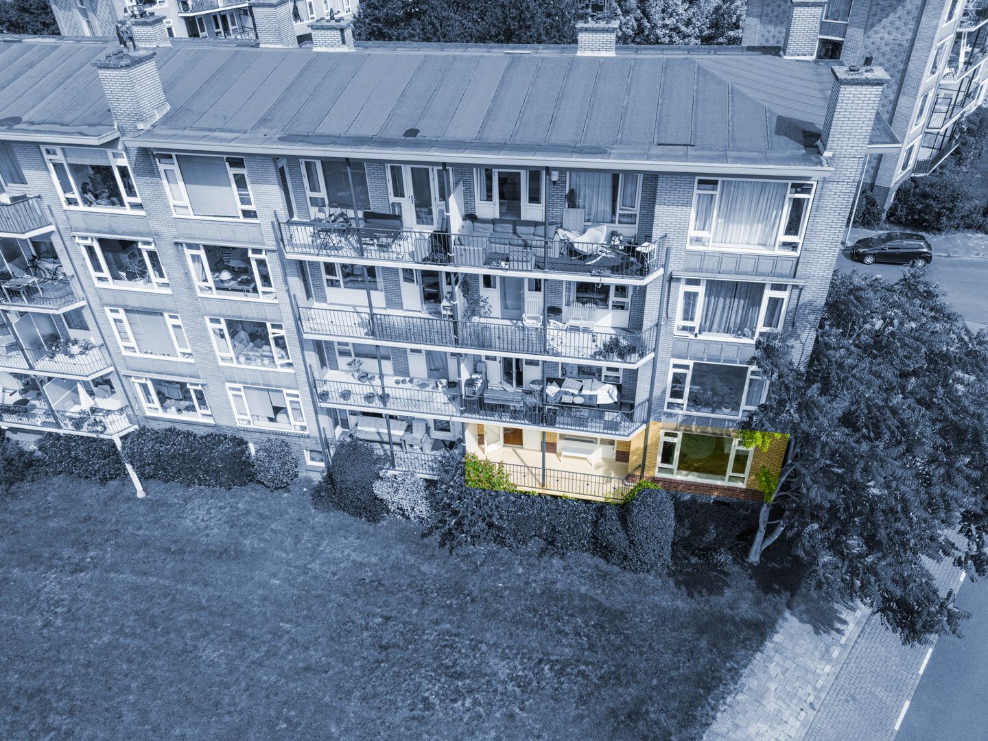 Foto 44 van Tolsteegplantsoen 35