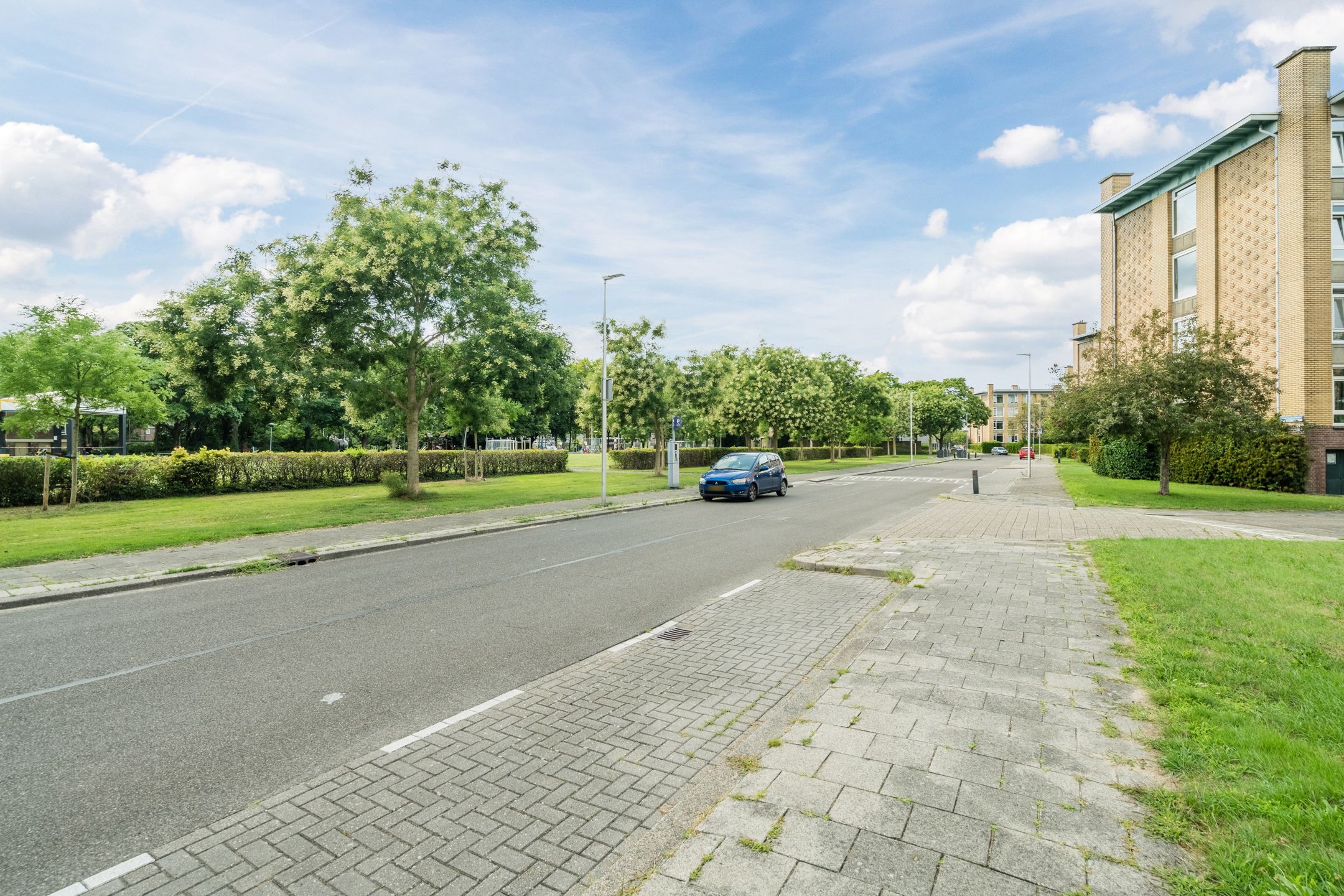 Foto 51 van Tolsteegplantsoen 35