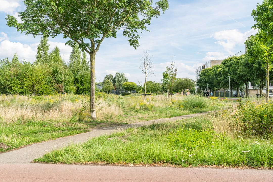 Foto 53 van Tolsteegplantsoen 35