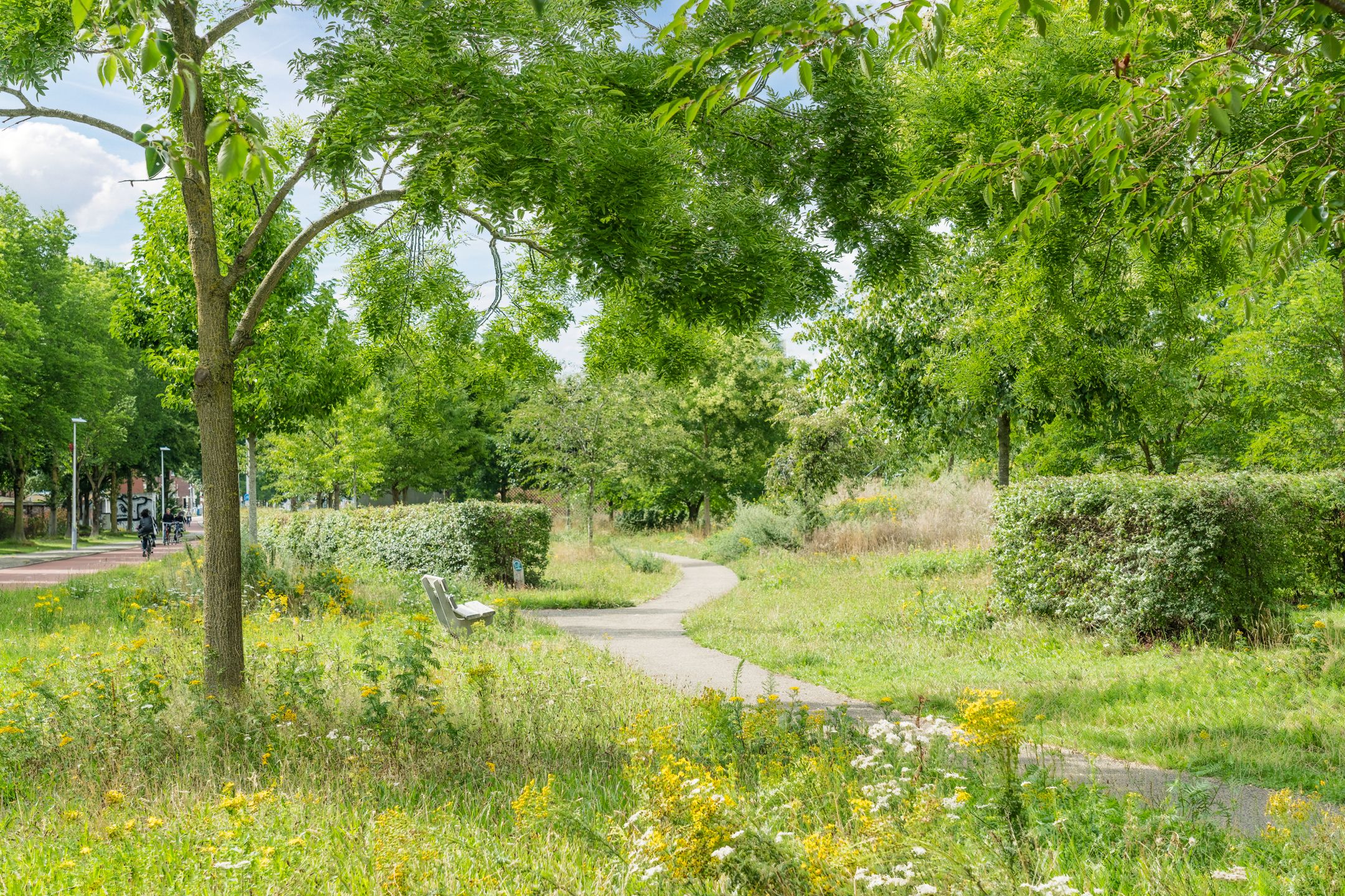 Foto 54 van Tolsteegplantsoen 35