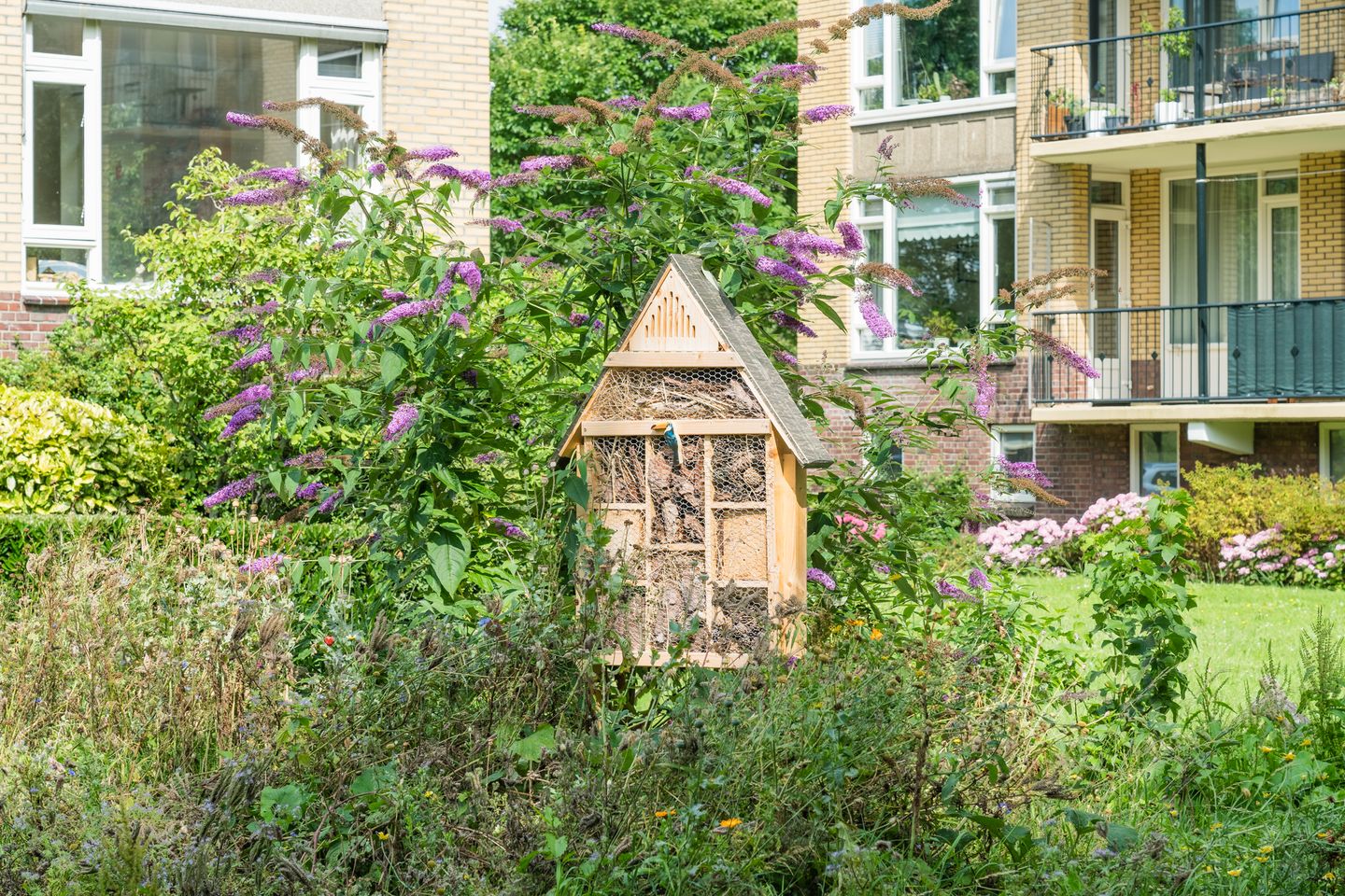 Foto 55 van Tolsteegplantsoen 35