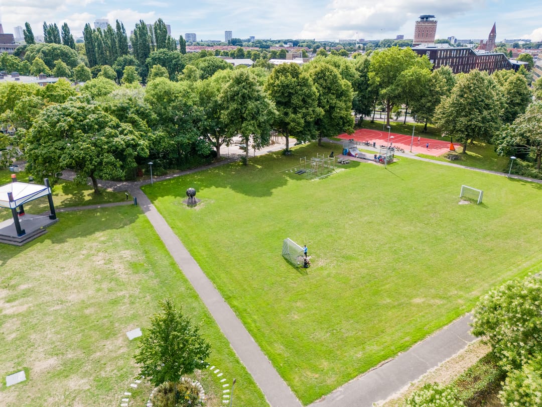 Foto 56 van Tolsteegplantsoen 35